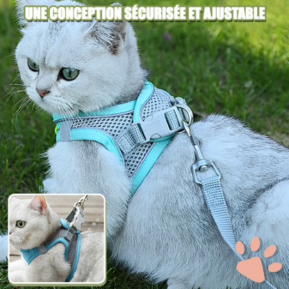 harnais pour chat anti traction SFP jujucatharn2 la niche de jules sécuritsé et ajustable