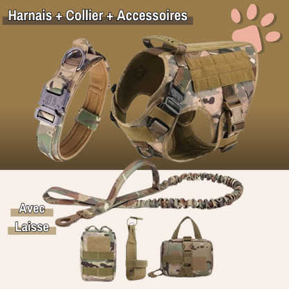 harnais tactique pour chien militaire dressage entrainement la niche de jules camouflage avec collier accessoire et laisse