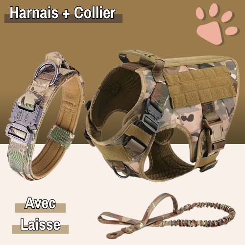 harnais tactique pour chien militaire dressage entrainement la niche de jules camouflage avec collier et laisse