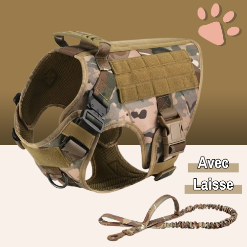 harnais tactique pour chien militaire dressage entrainement la niche de jules camouflage avec laisse