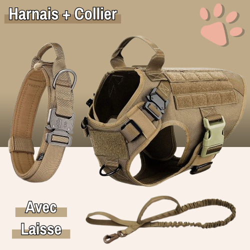 harnais tactique pour chien militaire dressage entrainement la niche de jules marron avec collier et laisse