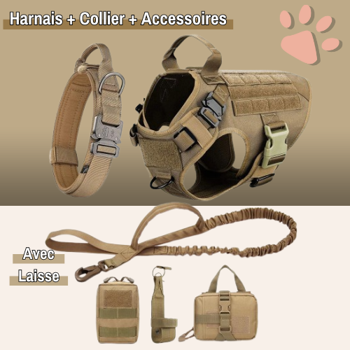 harnais tactique pour chien militaire dressage entrainement la niche de jules marron avec collier accessoire et laisse