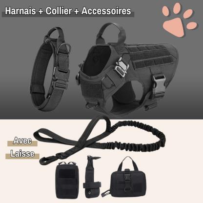 harnais tactique pour chien militaire dressage entrainement la niche de jules noir avec collier accessoire et laisse