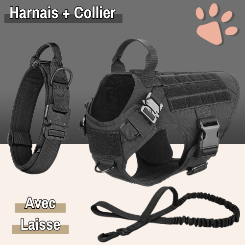 harnais tactique pour chien militaire dressage entrainement la niche de jules noir avec collier et laisse