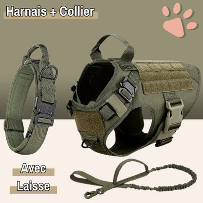 harnais tactique pour chien militaire dressage entrainement la niche de jules vert avec collier et laisse