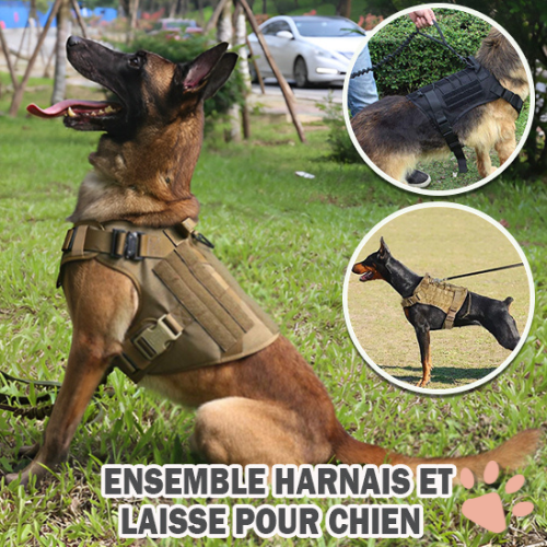 harnais tactique pour chien militaire dressage entrainement la niche de jules avec laisse