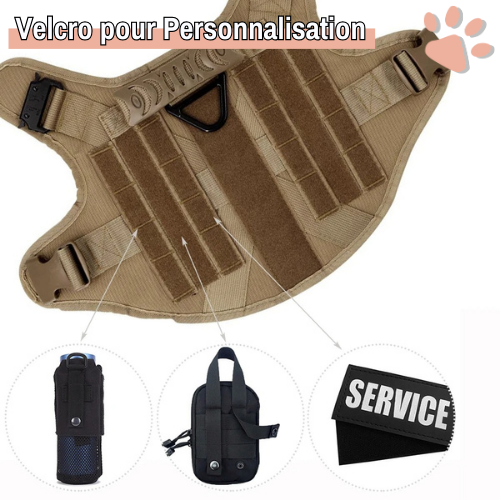 harnais tactique pour chien militaire dressage entrainement la niche de jules personnalisable