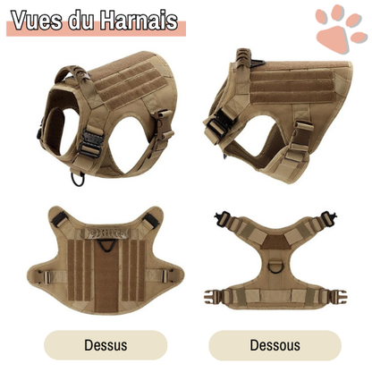 harnais tactique pour chien militaire dressage entrainement la niche de jules vues harnais