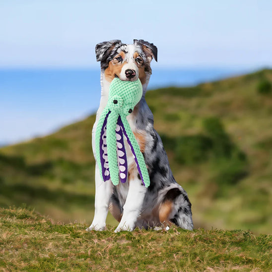 jouet pour chien peluche poulpe résistant la niche de jules jujupoulpe pour grand chien