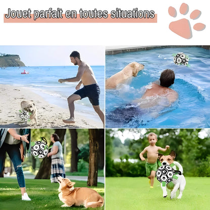 jouet pour chien ballon de
 foot la niche de jules JujuGripball jouet parfait en toutes situations