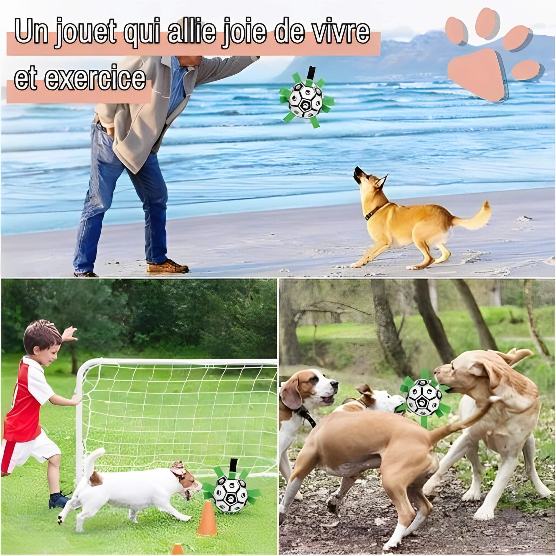 jouet pour chien ballon de
 foot la niche de jules JujuGripball un jouet qui allie joie de vivre et exercice