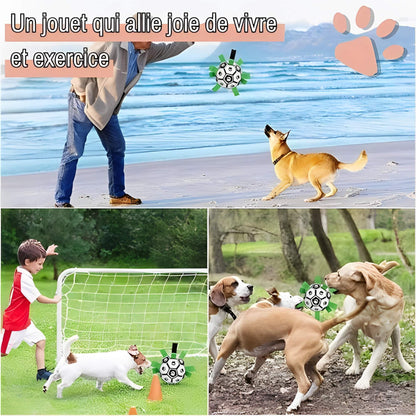 jouet pour chien ballon de
 foot la niche de jules JujuGripball un jouet qui allie joie de vivre et exercice
