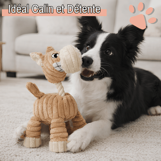 jouet pour chien en peluche girafe hunter JuJuGirafeHunter la niche de jules beige calin détente