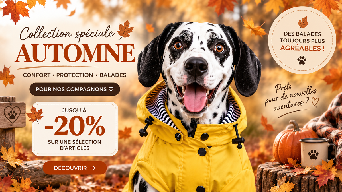 la niche de jules boutique chien et chat automne 2026 header