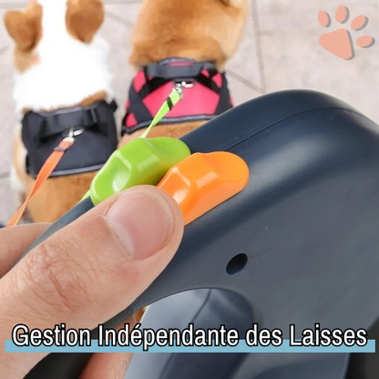 laisse double pour chien rotation 360 et 3 en 1 jujudualleash la niche de jules gestion laisse indépendante