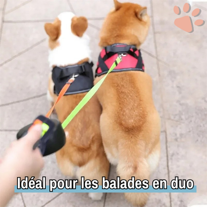 laisse double pour chien rotation 360 et 3 en 1 jujudualleash la niche de jules ideal balade duo