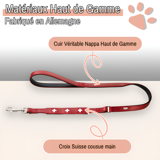 laisse en cuir pour chien swiss leash hunter JuJuSwissLeash la niche de jules rouge haut de gamme