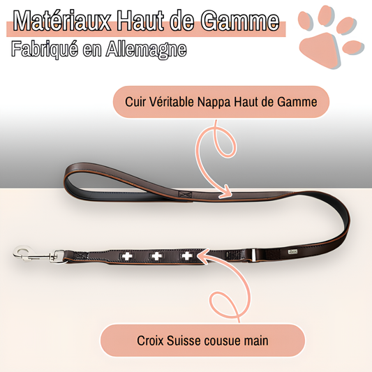 laisse en cuir pour chien swiss leash hunter JuJuSwissLeash la niche de jules marron haut de gamme