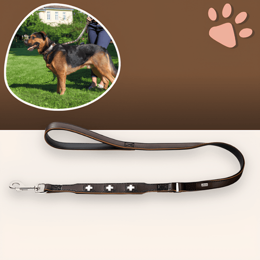 laisse en cuir pour chien swiss leash hunter JuJuSwissLeash la niche de jules marron