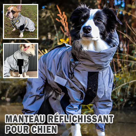 manteau imperméable pour chient réfléchissant la niche de jules jujuimper réfléchissant