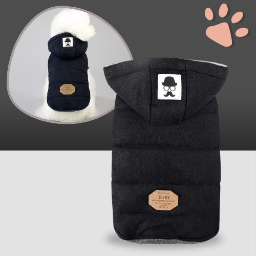 manteau pour chien doudoune hiver capuche la niche de jules jujumistermoustach noir