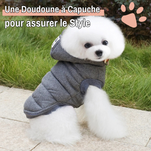 manteau pour chien doudoune hiver capuche la niche de jules jujumistermoustach style