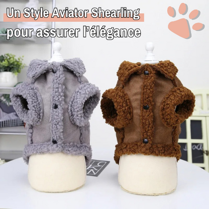 manteau pour chien Petite et Moyenne Taille veste hiver style aviateur shearling la niche de jules jujudadagouaviator élégant