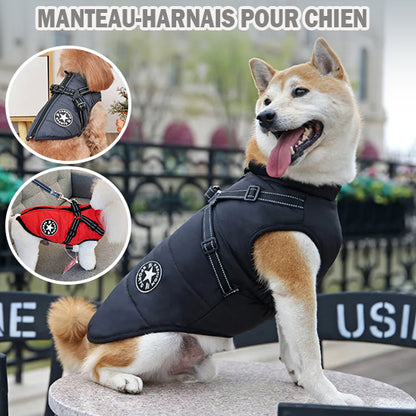 manteau veste hiver impermeable pour chien reflechissant la niche de jules jujujacket 02