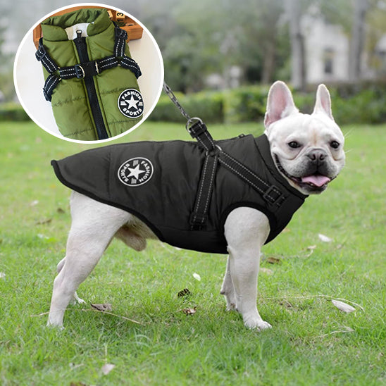 manteau veste hiver impermeable pour chien reflechissant la niche de jules jujujacket 04