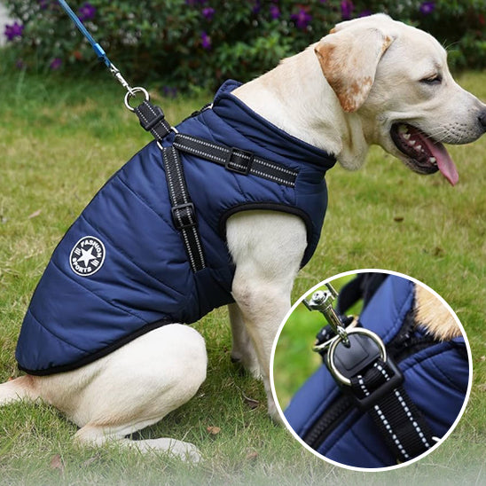 manteau veste hiver impermeable pour chien reflechissant la niche de jules jujujacket 05