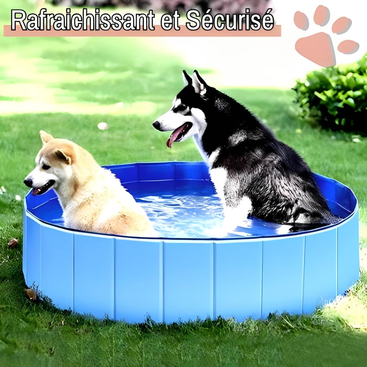 Piscine Pliable Pour Chien Et Chat 50x50x10 Cm - Baignoire Rectangulaire Sans Gonflage