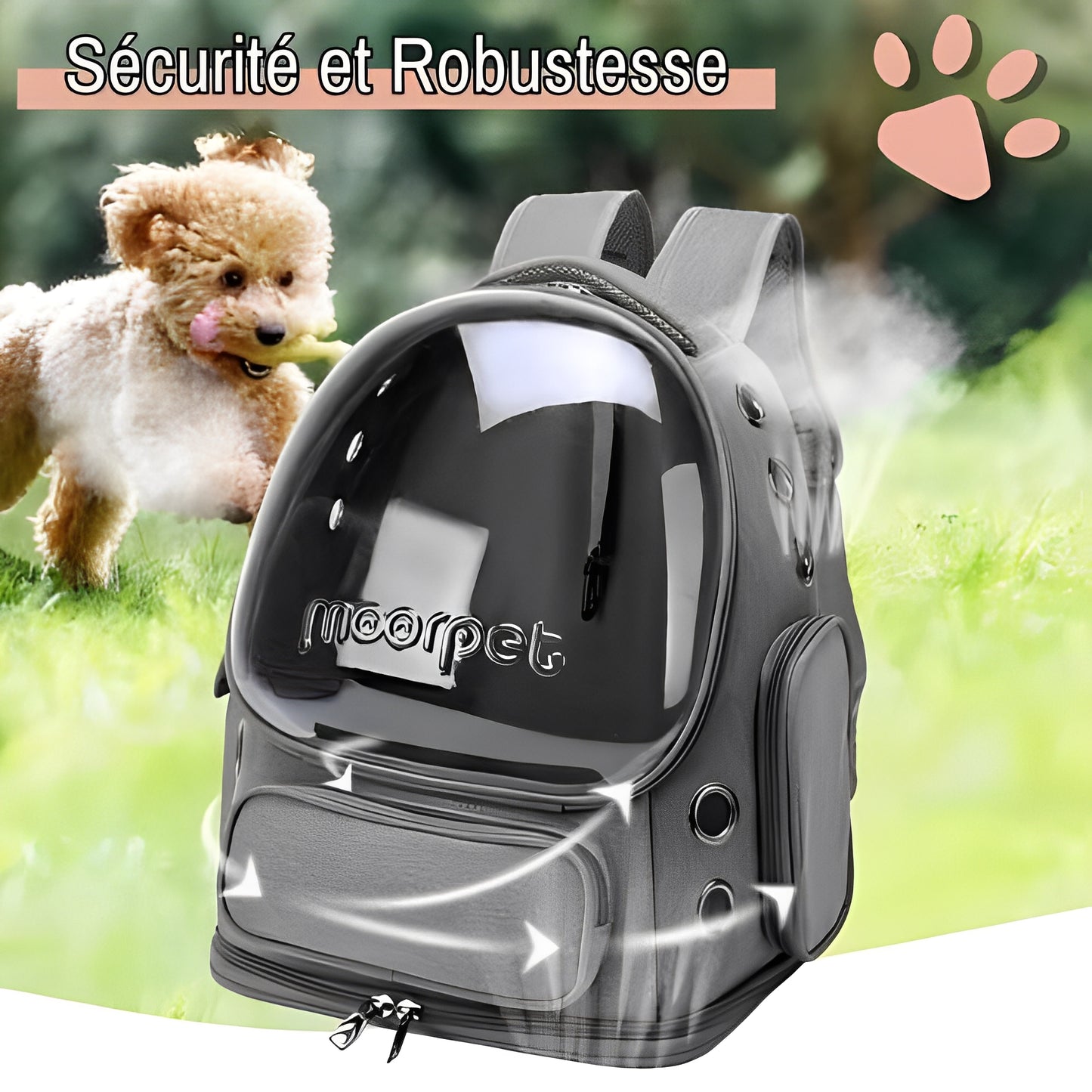 sac a dos jujucatpack transport chat capsule securite robustesse