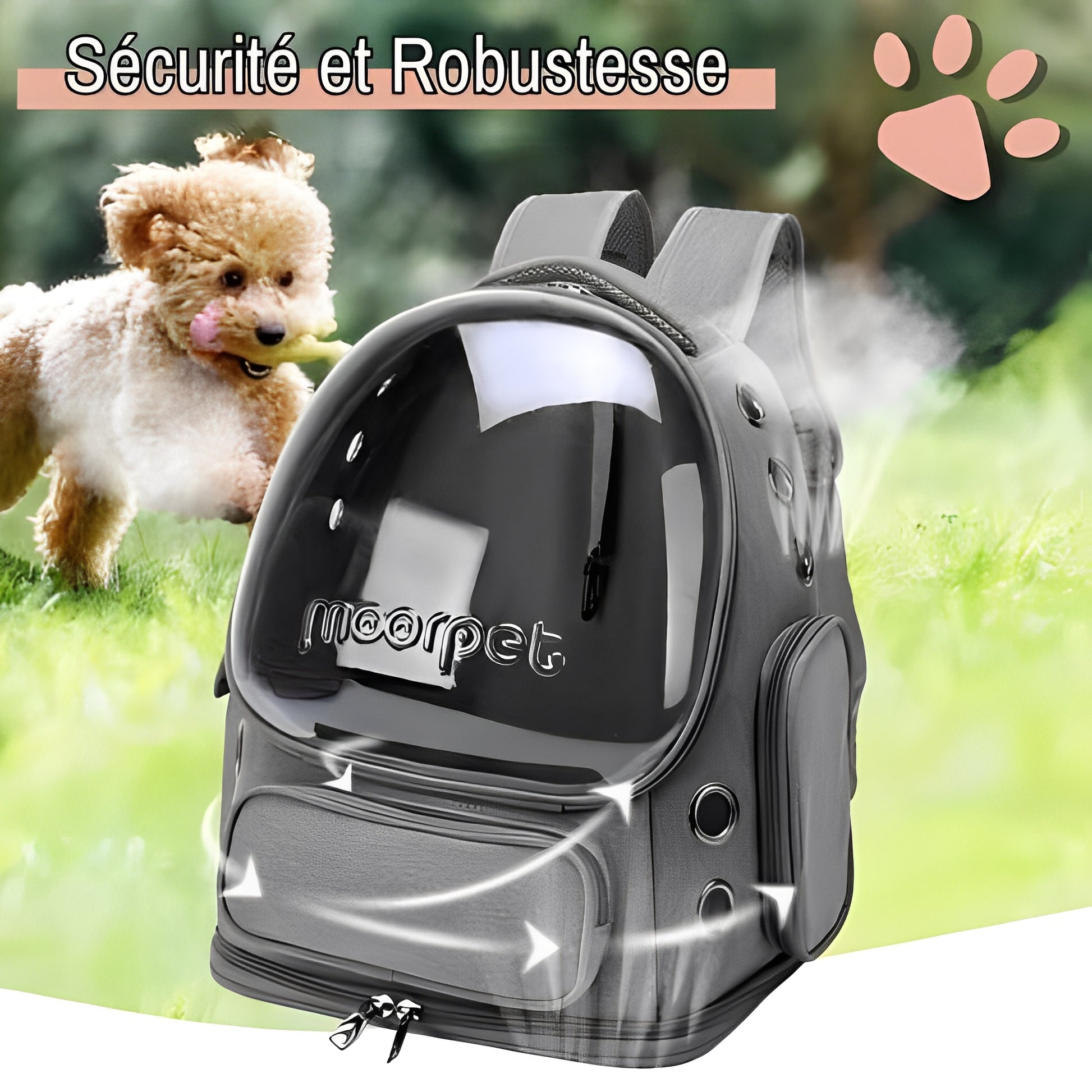 sac a dos jujucatpack transport chat capsule securite robustesse