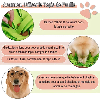 tapis de fouille pour chien comment utiliser JuJuSniffPlay la niche de jules