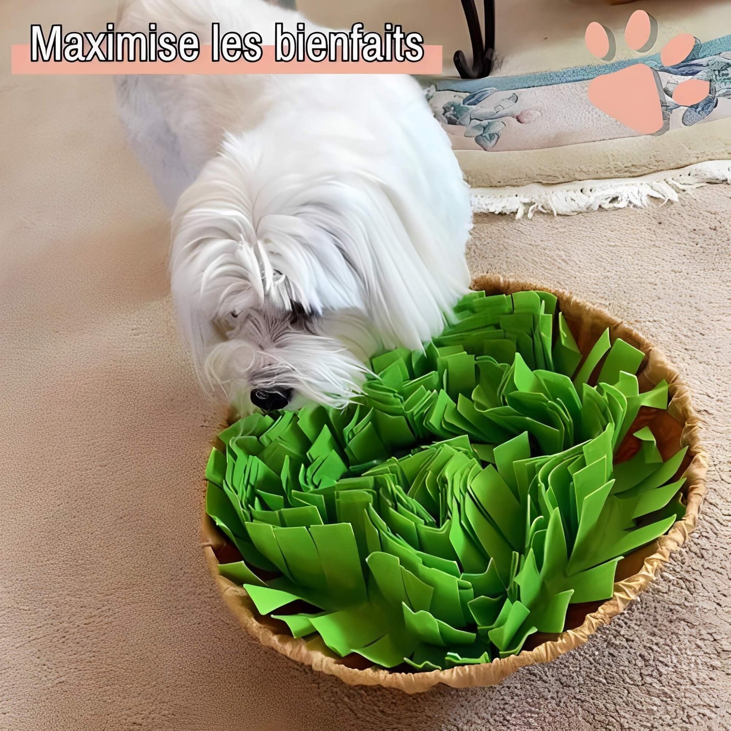 tapis de fouille pour chien maximise bienfaits JuJuSniffPlay la niche de jules