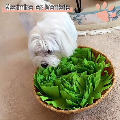 tapis de fouille pour chien maximise bienfaits JuJuSniffPlay la niche de jules