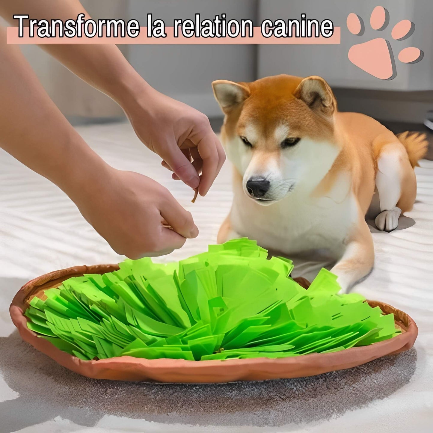 tapis de fouille pour chien transforme la relation JuJuSniffPlay la niche de jules